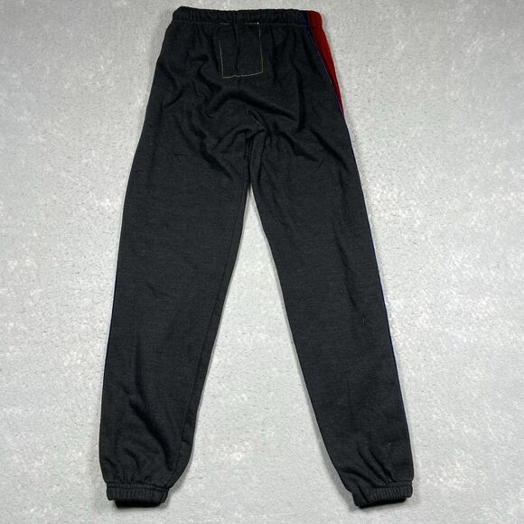 Aviator Nation Sweatpants Joggers 5 Stripe Rainbow Velvet Logo Women’s Small - Picture 10 of 13